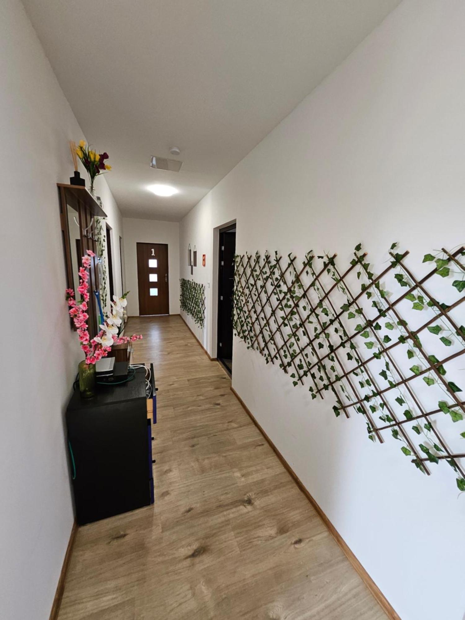 Wohngemeinschaft- Einzelne Zimmer Dresden Buitenkant foto