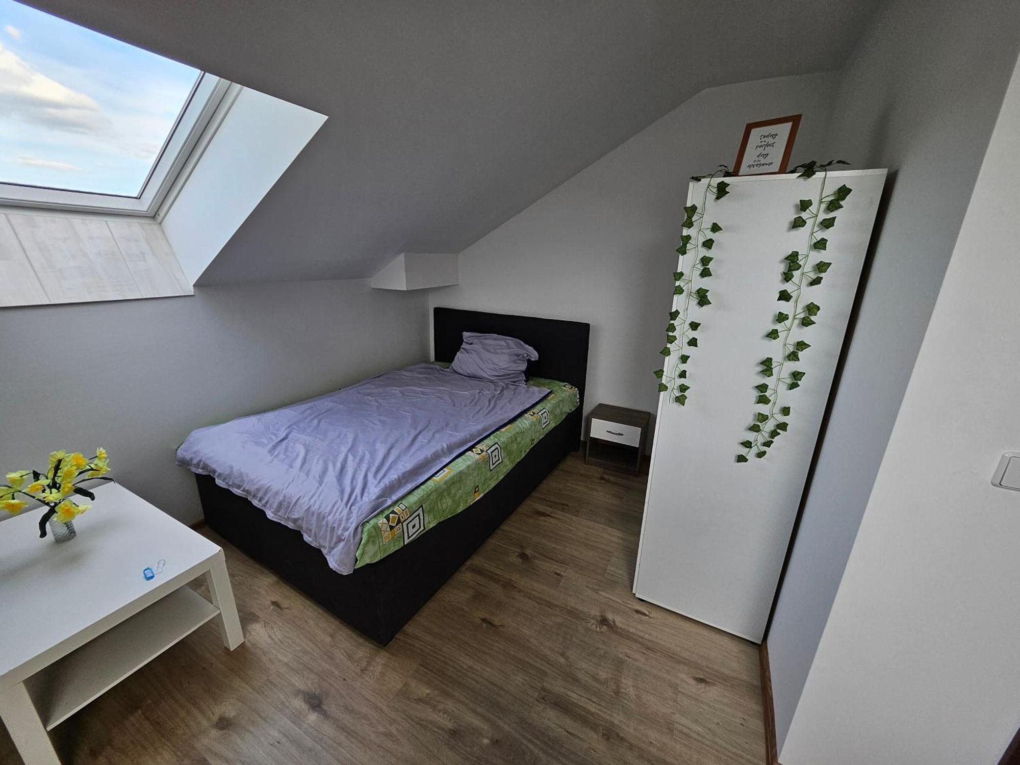 Wohngemeinschaft- Einzelne Zimmer Dresden Buitenkant foto